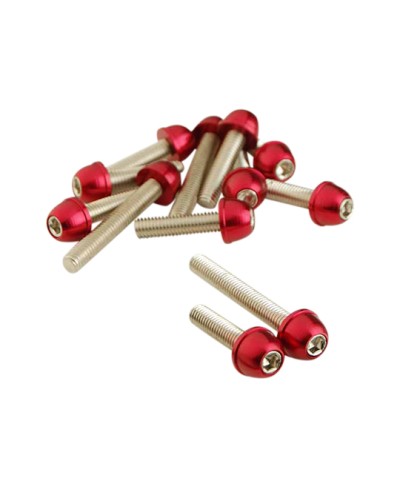 VIS TUN'R CARTER CHC CONIQUE ADAPT. BOOSTER/BW'S ACIER ROUGE 6X25/40/45 (X12)