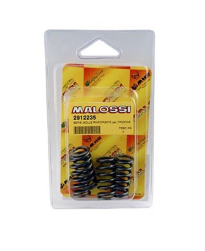 RESSORT EMBRAYAGE MECABOITE MALOSSI RENF. ADAPT. DERBI SENDA/GPR (JEU DE 5)