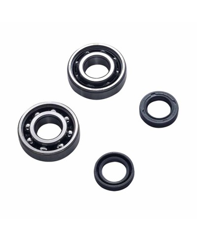 ROULEMENT VILO + JTS SPI SCOOTER ADAPT. LUDIX/SPEEDFIGHT 3/VIVACITY 3/KISBEE SKF POLYAMIDE