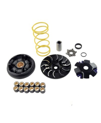 VARIATEUR SCOOTER TUN'R RACING ADAPT. PEUGEOT LUDIX/KISBEE/VIVACITY 3 JOUE NOIR METAL