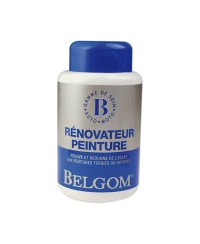 BELGOM RENOVATEUR PEINTURE 250ML