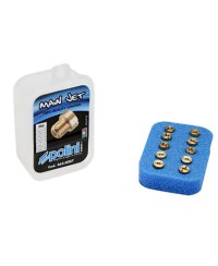 GICLEUR POLINI PHBN/PHVA 160  A  178  (COFFRET DE 10)          (DIAM. 6)