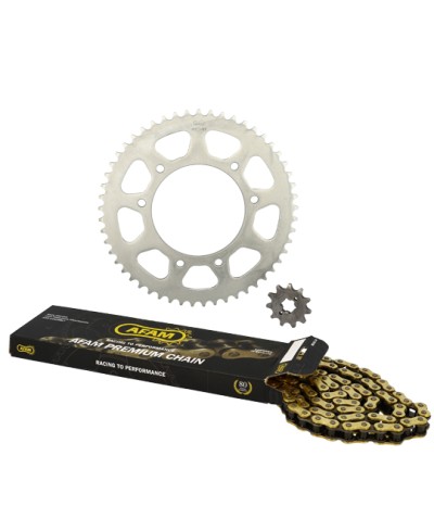 KIT CHAINE AFAM ADAPT. DERBI SENDA SM/R DRD PRO/RACING 420 11/53 (ORIGINE) D102 FIX 3X2