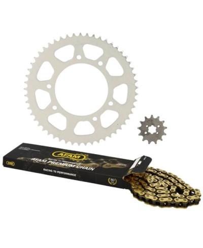 KIT CHAINE AFAM ADAPT. DERBI SENDA SM/R DRD PRO/RACING 420 13/53 (ORIGINE) D102 FIX 3X2