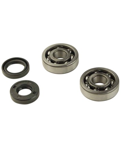 ROULEMENT VILO + JTS SPI MECABOITE ADAPT. AM6 - 6303 C3 CAGE ACIER