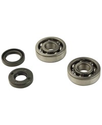 ROULEMENT VILO + JTS SPI MECABOITE ADAPT. AM6 - 6303 C3 CAGE ACIER