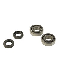 ROULEMENT VILO + JTS SPI MECABOITE ADAPT. DERBI EURO2/EURO3/EURO4 - 6204 C3 CAGE ACIER