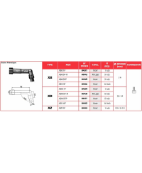 Anti-parasite NGK - XZ01F
