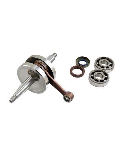 EMBIELLAGE MECABOITE TOP PERF ADAPT. AM6 AVEC ROULEMENTS 6303 ET JOINT SPI