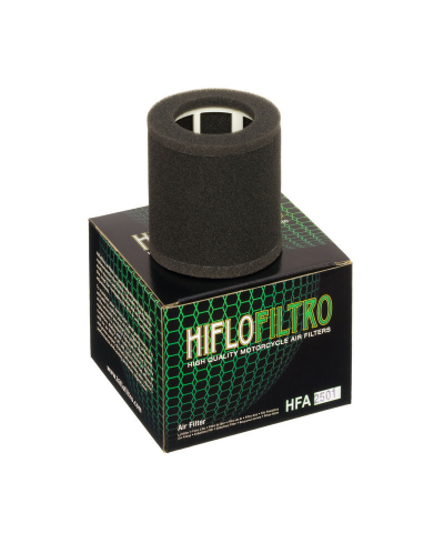 Filtre a air HIFLOFILTRO - HFA2501