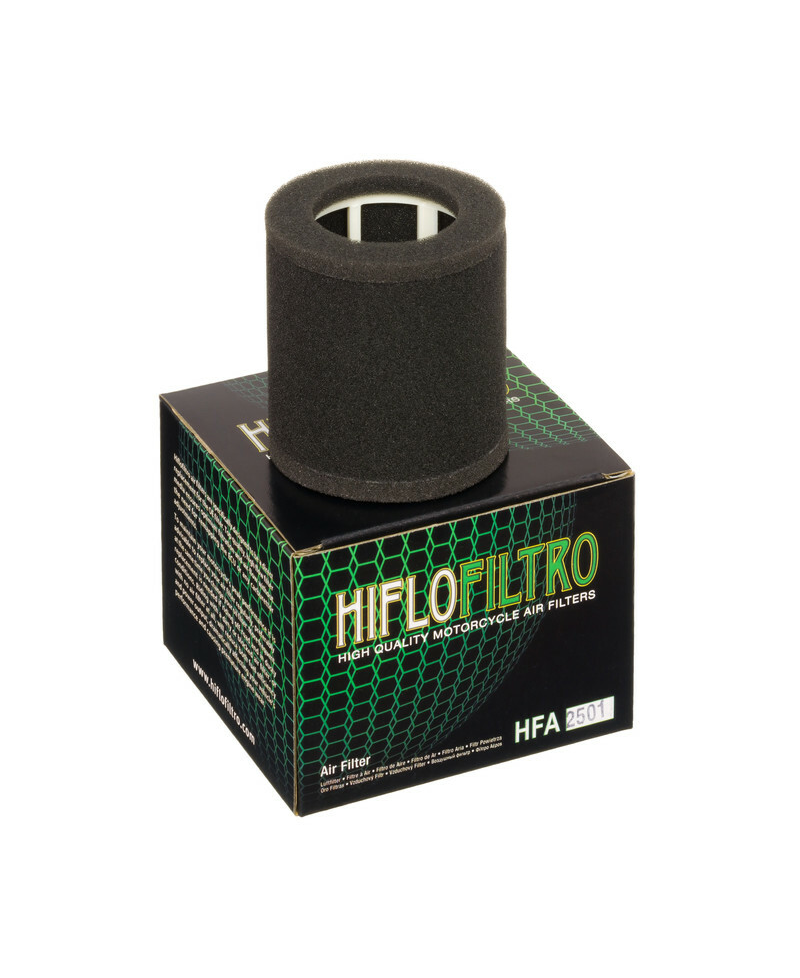 Filtre a air HIFLOFILTRO - HFA2501
