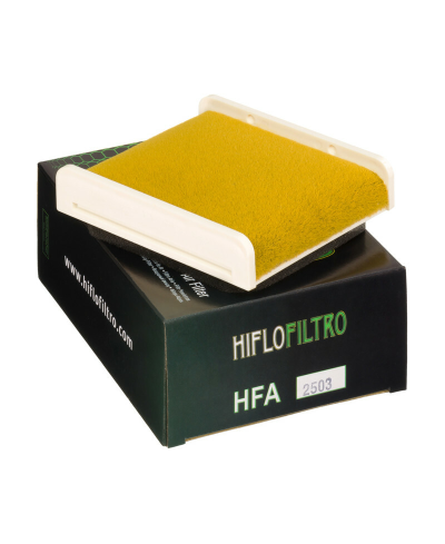 Filtre a air HIFLOFILTRO - HFA2503