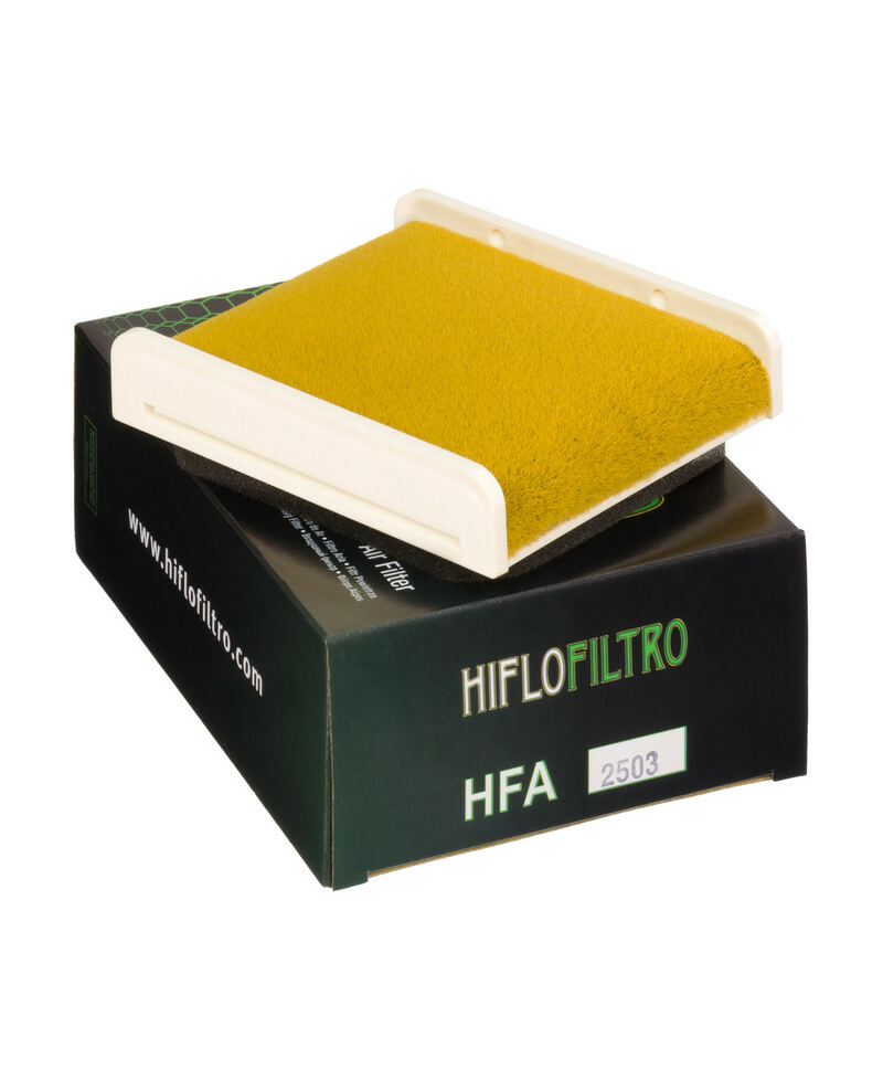 Filtre a air HIFLOFILTRO - HFA2503