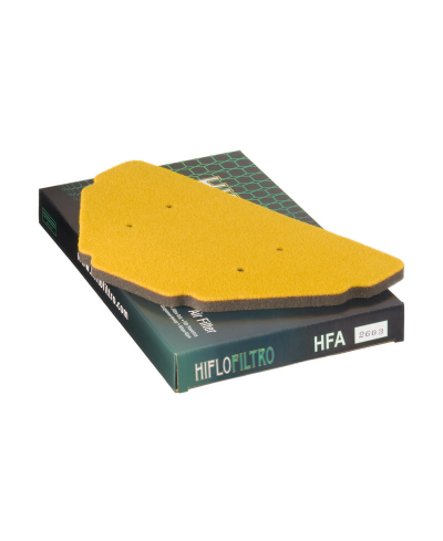 Filtre a air HIFLOFILTRO - HFA2603