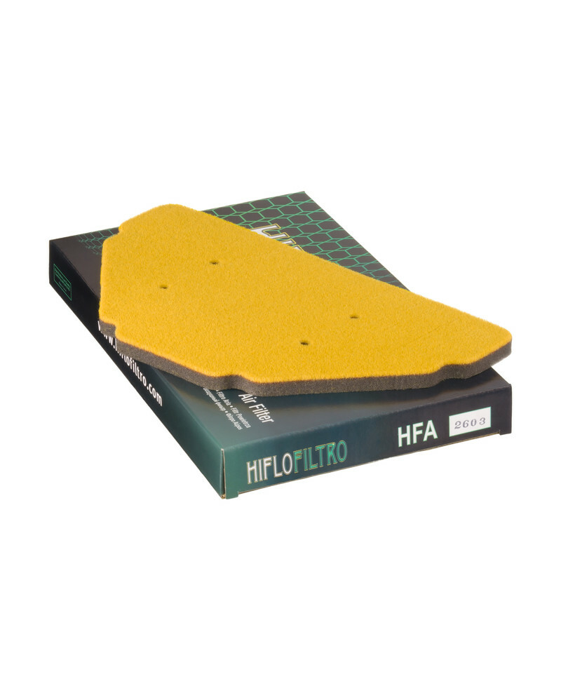 Filtre a air HIFLOFILTRO - HFA2603