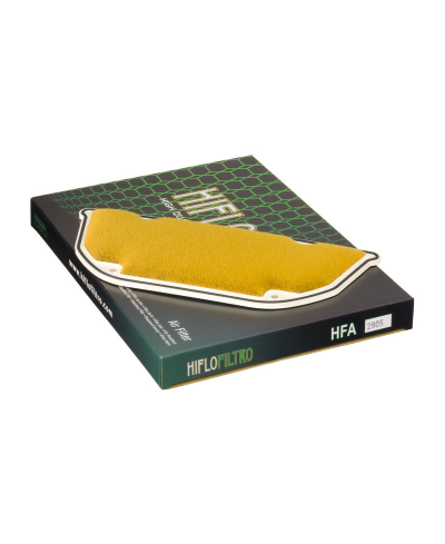 Filtre a air HIFLOFILTRO - HFA2905