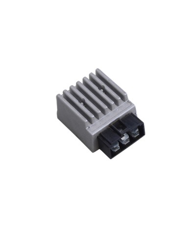 REGULATEUR DE TENSION MECABOITE TEKNIX ADAPT. DERBI SENDA/RS4/GPR/NUDE/RS50/RX jusqu'a 17 NOIR