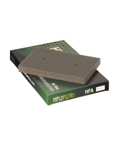 Filtre a air HIFLOFILTRO - HFA2505