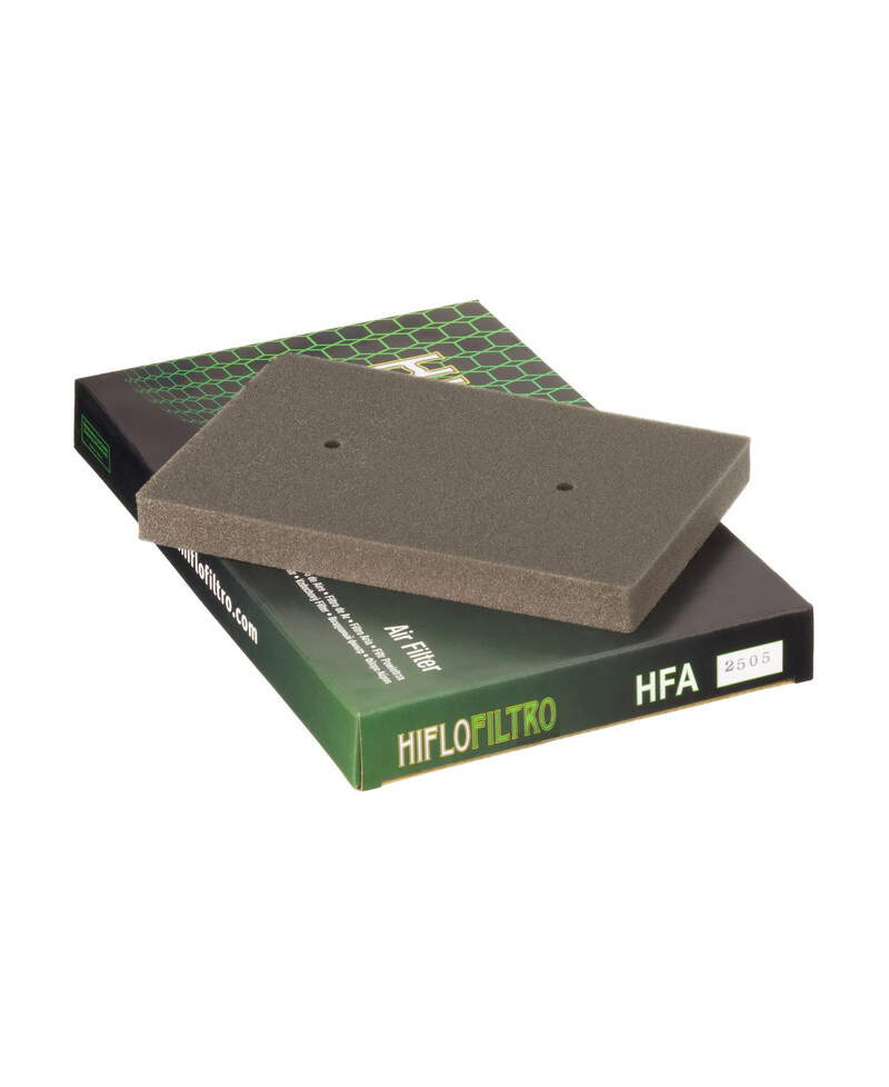 Filtre a air HIFLOFILTRO - HFA2505
