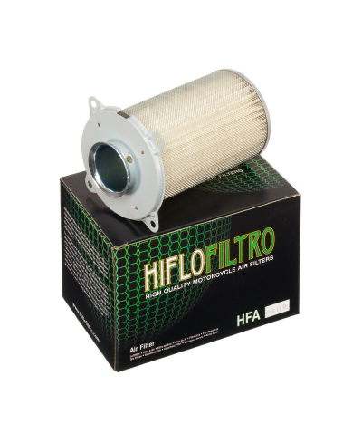 Filtre a air HIFLOFILTRO - HFA3909