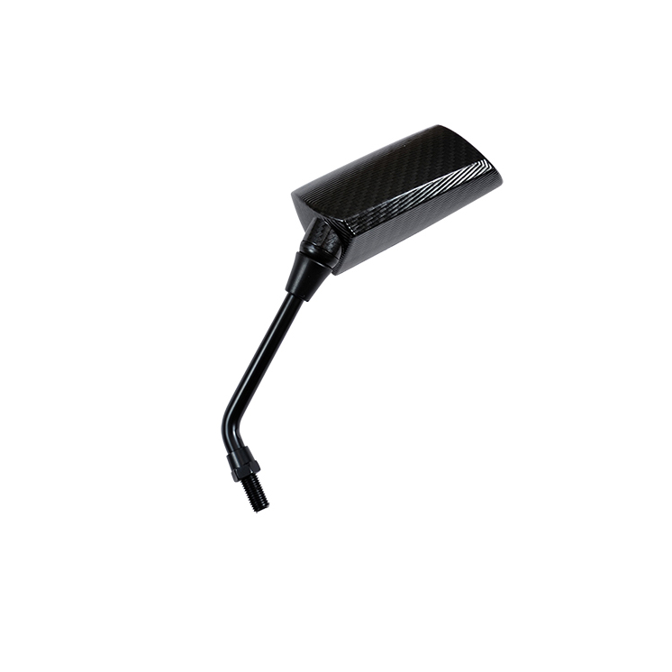 RETRO UNIVERSEL TUN'R* GP1 D10 CARBONE VERNI GAUCHE (X1)