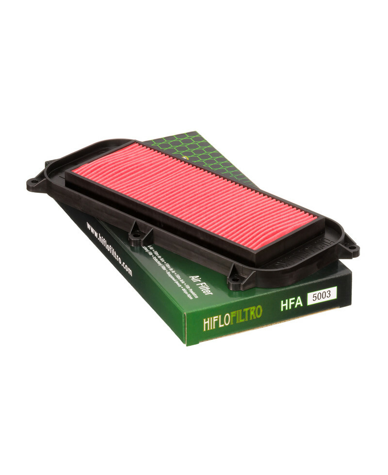 Filtre a air HIFLOFILTRO - HFA5003