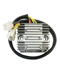 Regulateur TECNIUM by DZE 2547