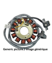 Stator TECNIUM Triumph Daytona 955 13007