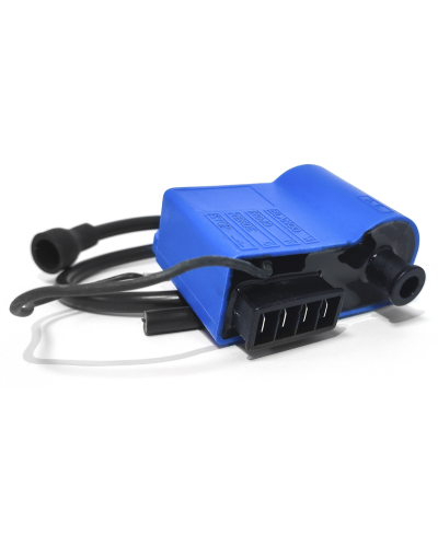 Boitier CDI TECNIUM Piaggio 4032