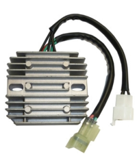 Regulateur TECNIUM by DZE 2455