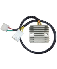 Regulateur TECNIUM by DZE 2461