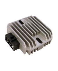 Regulateur TECNIUM by DZE 2353