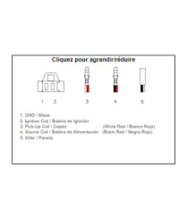 Boîtier CDI TECNIUM 1372