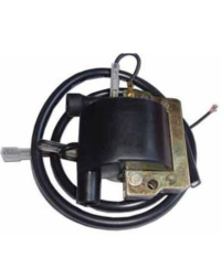 Bobine d'allumage TECNIUM 4037 DZE 4037