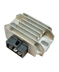 Regulateur TECNIUM by DZE 2644