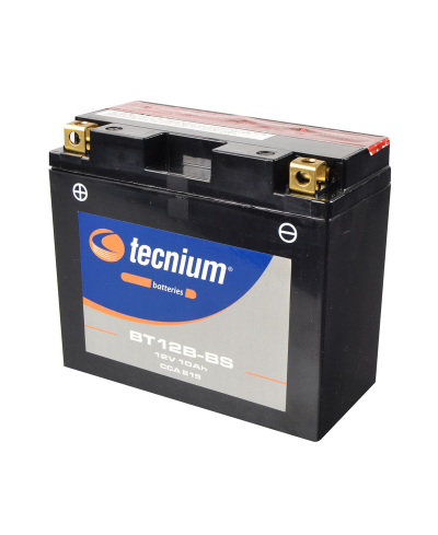 Batterie TECNIUM sans entretien avec pack acide - BT12B-BS 820628