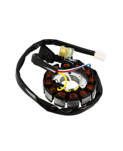 STATOR MECABOITE TEKNIX ADAPT. AM6/BETA RR 50 2013 a 2020 (12 POLES)