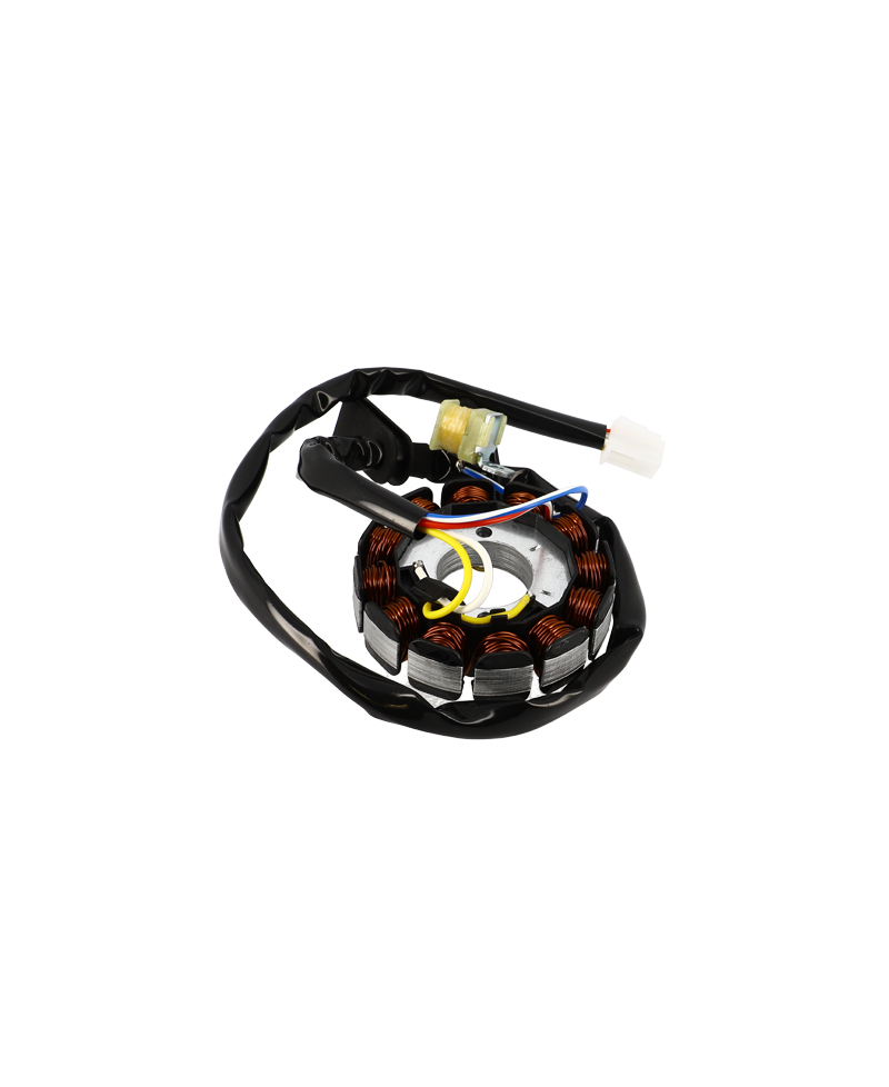 STATOR MECABOITE TEKNIX ADAPT. AM6/BETA RR 50 2013 a 2020 (12 POLES)