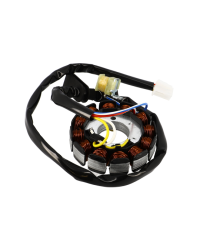 STATOR MECABOITE TEKNIX ADAPT. AM6/BETA RR 50 2013 a 2020 (12 POLES)