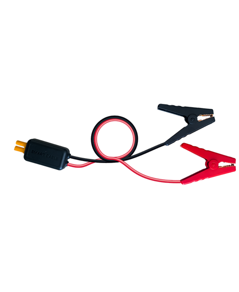 Extension de câble intelligent BS BATTERY pour booster Power Box PB-02