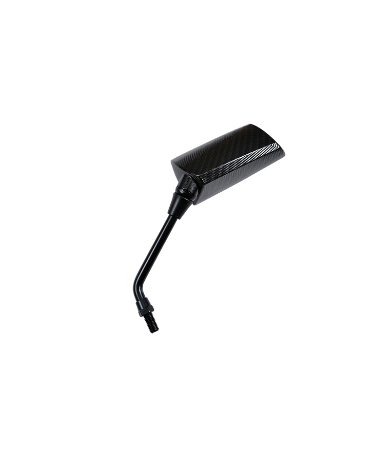 RETRO UNIVERSEL TUN'R* GP1 D10 CARBONE VERNI GAUCHE (X1)