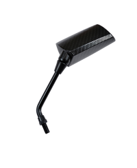 RETRO UNIVERSEL TUN'R* GP1 D10 CARBONE VERNI GAUCHE (X1)