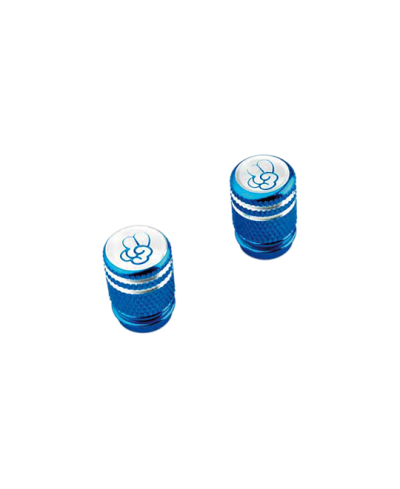CAPUCHON/BOUCHON VALVE TUN'R TO COOL MOLETE BLEU (X2)