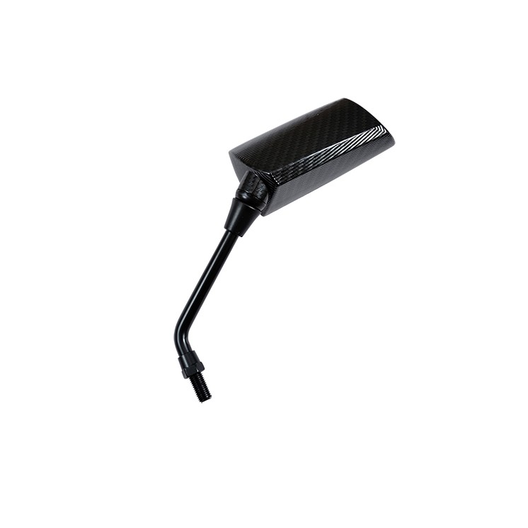 RETRO UNIVERSEL TUN'R* GP1 D10 CARBONE VERNI GAUCHE (X1)