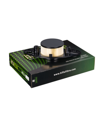 Filtre a air HIFLOFILTRO - HFA3808