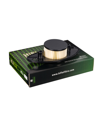 Filtre a air HIFLOFILTRO - HFA3807