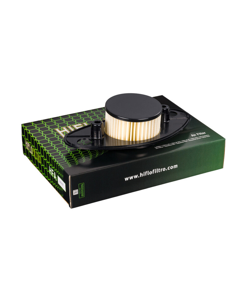 Filtre a air HIFLOFILTRO - HFA3807