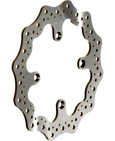 Disque de frein RFX Race pétale fixe