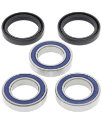 Kit roulements de roue arrière ALL BALLS - 25-1250