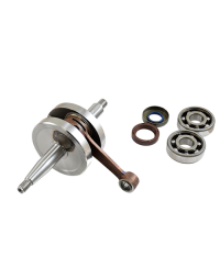 EMBIELLAGE MECABOITE TOP PERF ADAPT. AM6 AVEC ROULEMENTS 6303 ET JOINT SPI